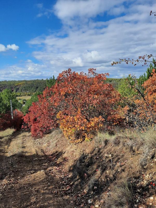 Чуден октябрь при ясной погоде Чуден октябрь при ясной погоде