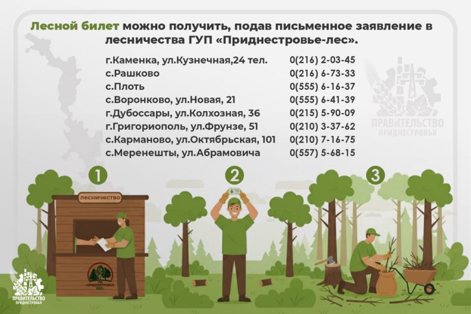 На примере Кицканского лесничества показываем, что можно собирать в лесу для топки печи, а что нельзя На примере Кицканского лесничества показываем, что можно собирать в лесу для топки печи, а что нельзя