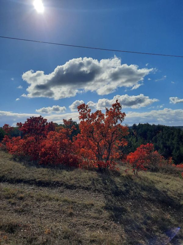 Чуден октябрь при ясной погоде Чуден октябрь при ясной погоде