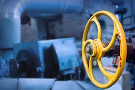 Летопись любви и новых жизней Летопись любви и новых жизней