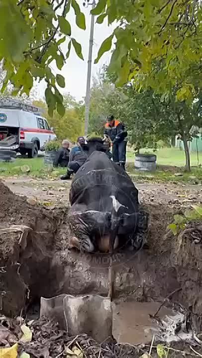         :   ,    