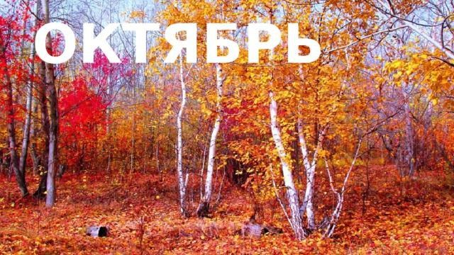 14  -    
