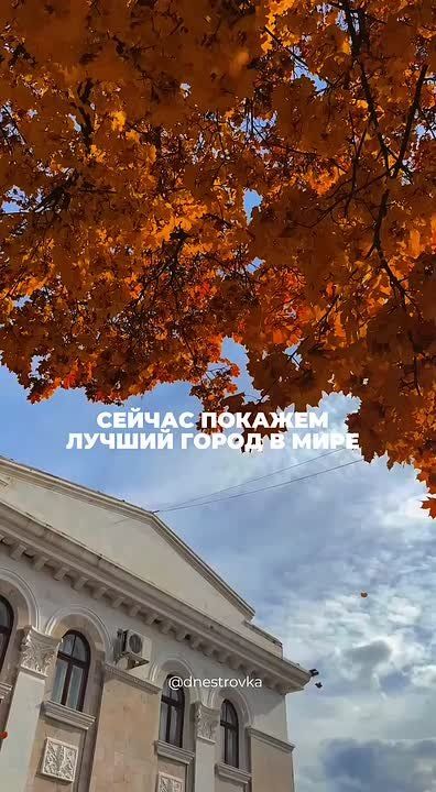   ,  !