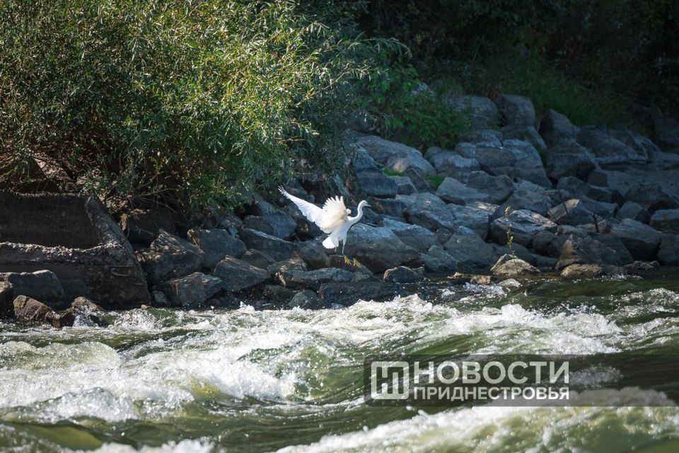 Сегодня в Чобручах говорят: «Нам есть чем гордиться!» Сегодня в Чобручах говорят: «Нам есть чем гордиться!»