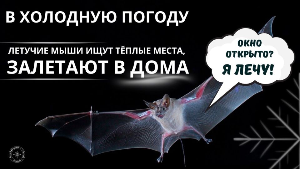 :  !.          