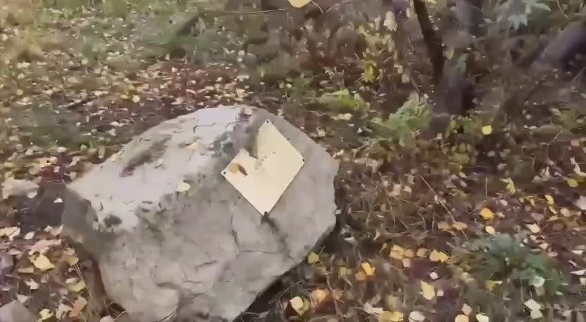           ,      .