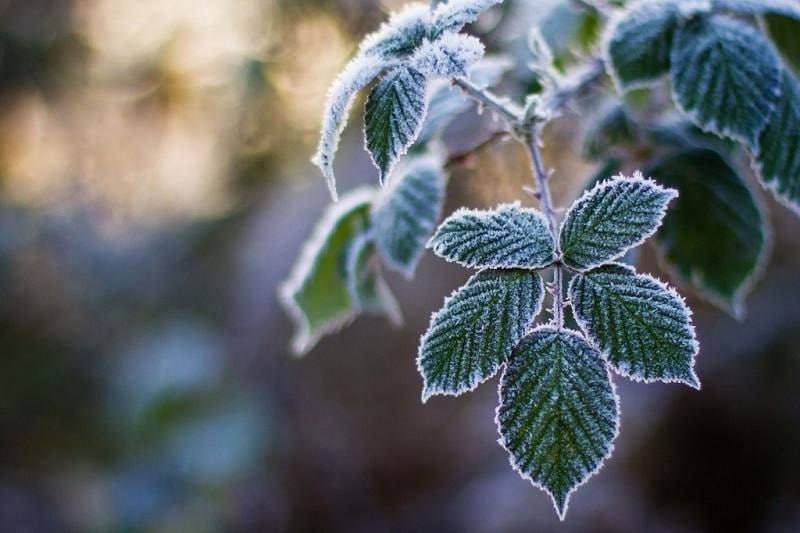 : !.  :    16         ,     ,  -2C