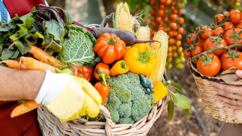 О заселении нашего края, приднестровском народе, традициях, обрядах и ремёслах – школьникам О заселении нашего края, приднестровском народе, традициях, обрядах и ремёслах – школьникам