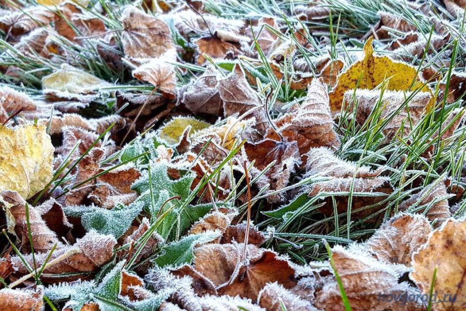  . 16         :  ,    ,  -2C