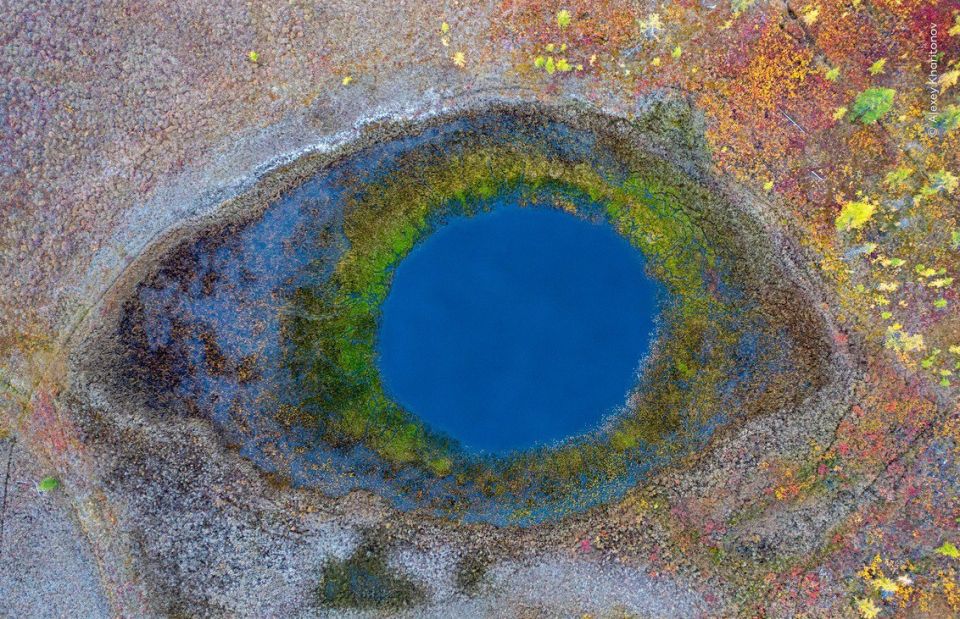 «Фотограф дикой природы 2025 года»: лучшие работы «Фотограф дикой природы 2025 года»: лучшие работы