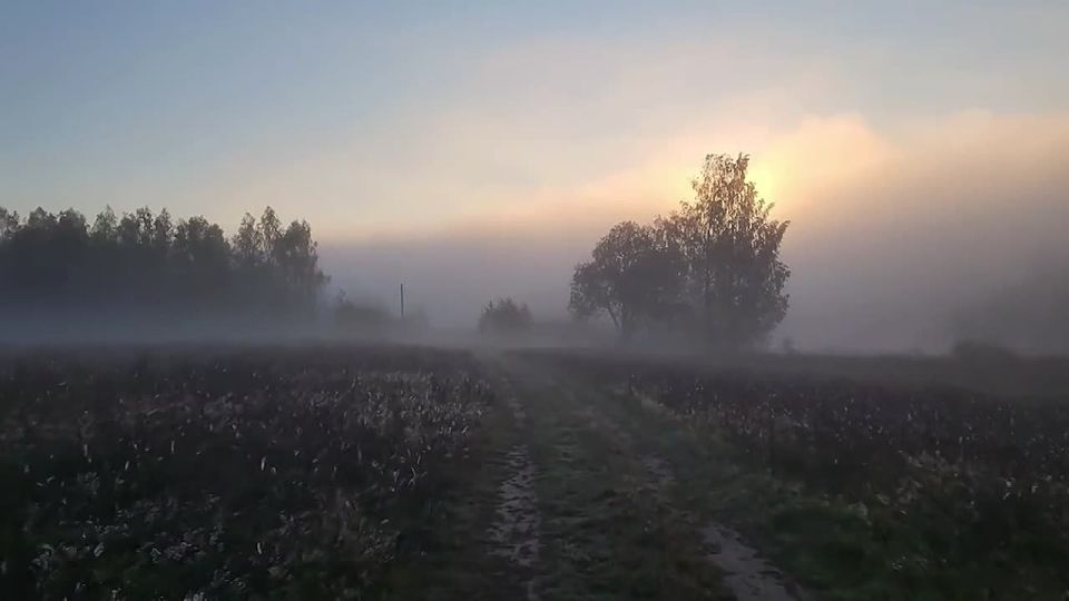 Туман опустился на Приднестровье сегодня утром