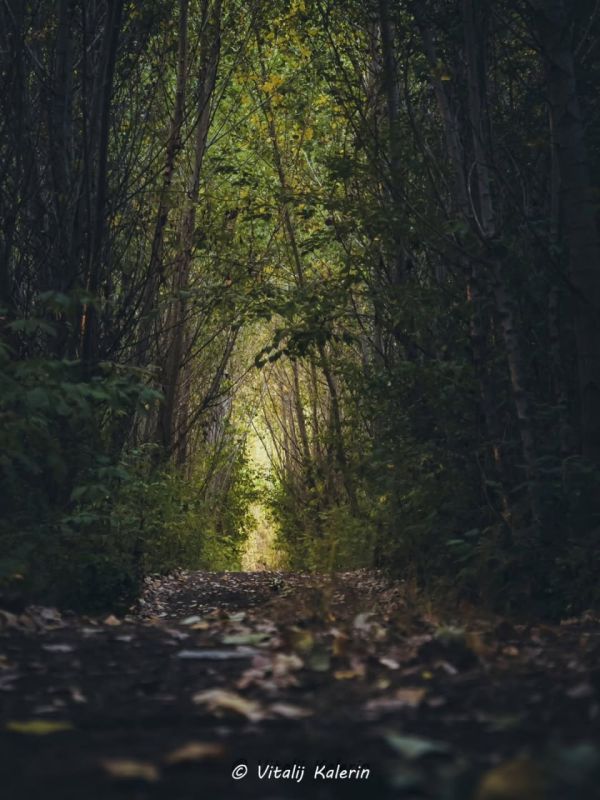 Левитан, Шишкин или Поленов? Нет, это Калерин Виталий — и его невероятные фотографии Приднестровья в осенних красках Левитан, Шишкин или Поленов? Нет, это Калерин Виталий — и его невероятные фотографии Приднестровья в осенних красках