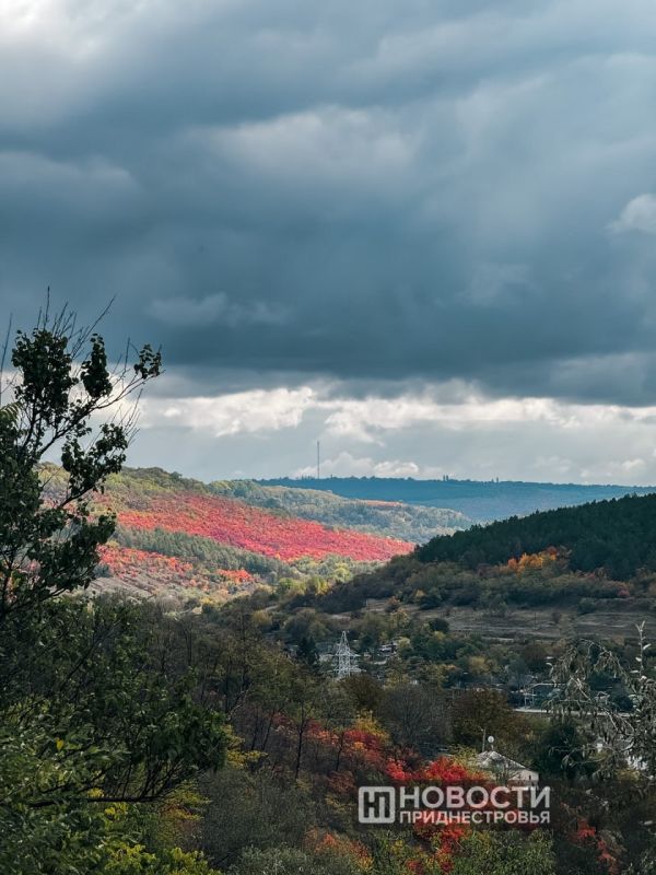 На следующей неделе в Приднестровье потеплеет до +20°C На следующей неделе в Приднестровье потеплеет до +20°C