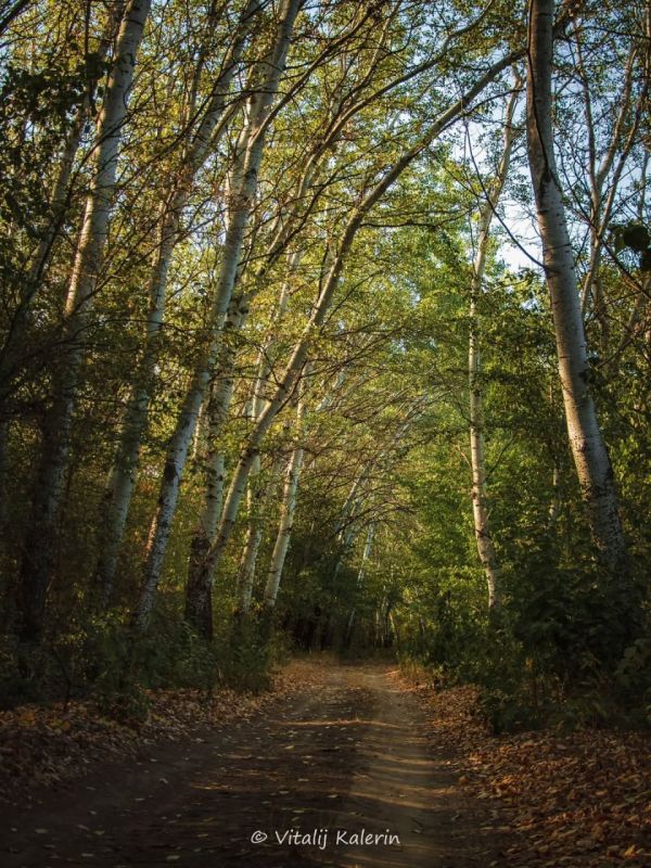 Левитан, Шишкин или Поленов? Нет, это Калерин Виталий — и его невероятные фотографии Приднестровья в осенних красках Левитан, Шишкин или Поленов? Нет, это Калерин Виталий — и его невероятные фотографии Приднестровья в осенних красках