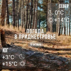      -2,    +15