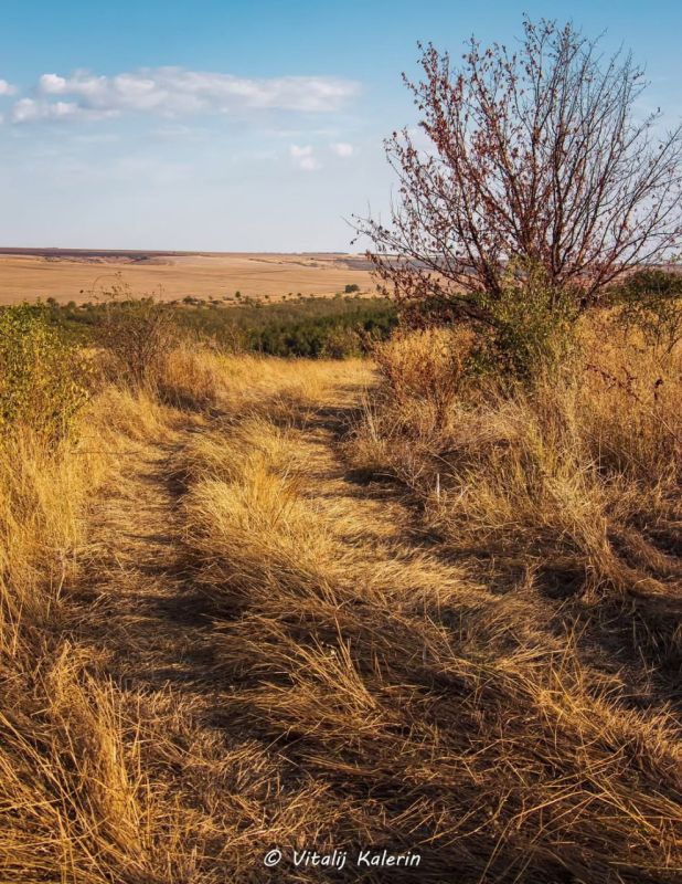 Левитан, Шишкин или Поленов? Нет, это Калерин Виталий — и его невероятные фотографии Приднестровья в осенних красках Левитан, Шишкин или Поленов? Нет, это Калерин Виталий — и его невероятные фотографии Приднестровья в осенних красках