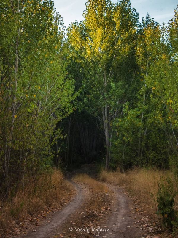 Левитан, Шишкин или Поленов? Нет, это Калерин Виталий — и его невероятные фотографии Приднестровья в осенних красках Левитан, Шишкин или Поленов? Нет, это Калерин Виталий — и его невероятные фотографии Приднестровья в осенних красках