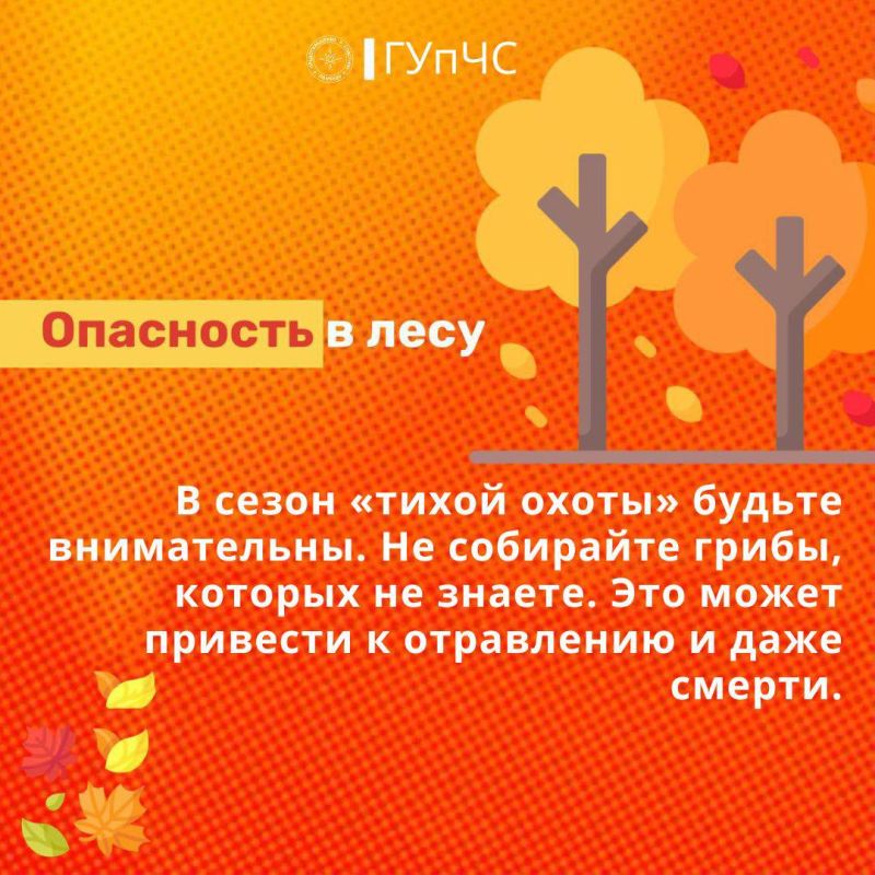 Осень – это удивительное время Осень – это удивительное время