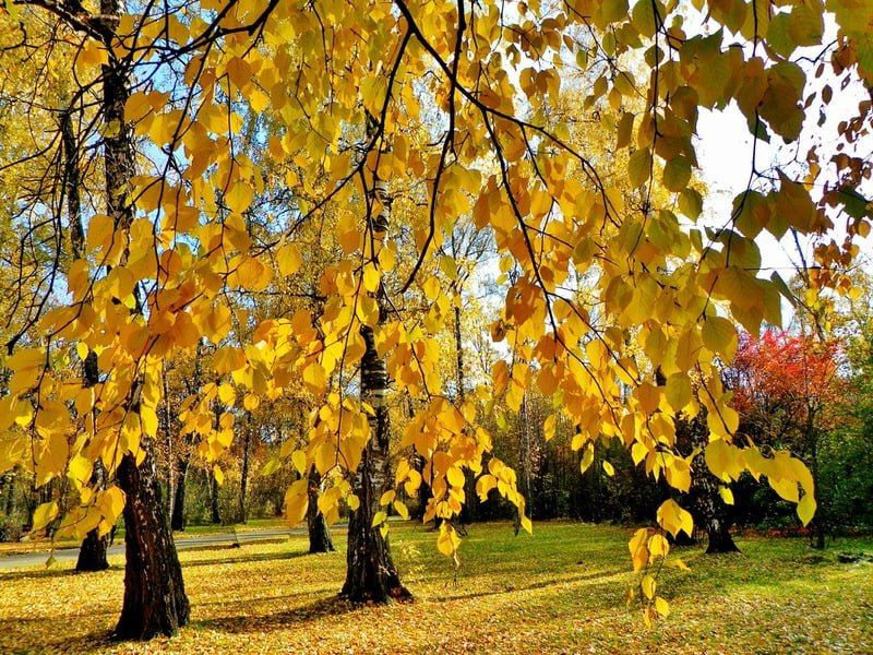 В Приднестровье на следующей неделе потеплеет до +20°C