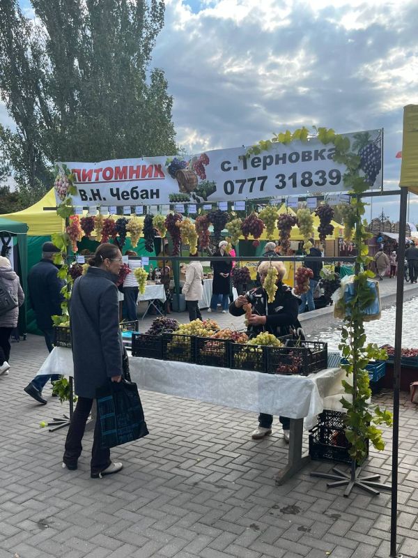Тирасполь продолжает череду праздничных мероприятий Тирасполь продолжает череду праздничных мероприятий