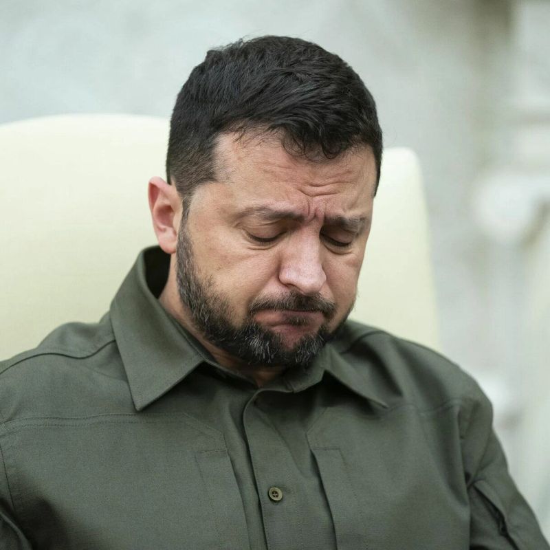 «Мы должны остановиться там, где мы сейчас находимся. Трамп прав. А затем начать говорить о том, как сделать шаги к долгосрочному миру»