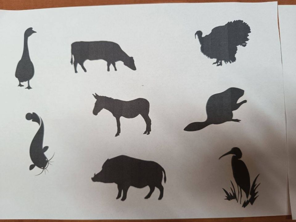 Во Дворце детско-юношеского творчества прошла игра «Знатоки природы» Во Дворце детско-юношеского творчества прошла игра «Знатоки природы»