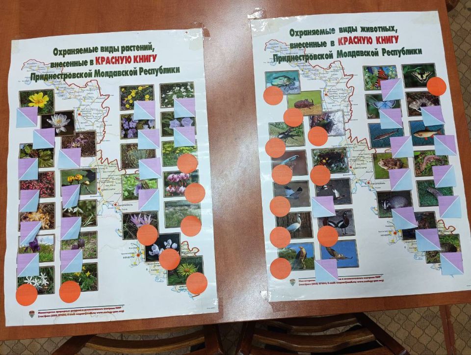 Во Дворце детско-юношеского творчества прошла игра «Знатоки природы» Во Дворце детско-юношеского творчества прошла игра «Знатоки природы»