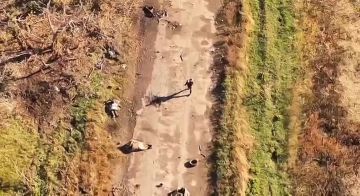 Враг убивает наших людей. Гражданских