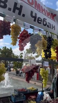 В Екатерининском парке празднуют День рождения Тирасполя