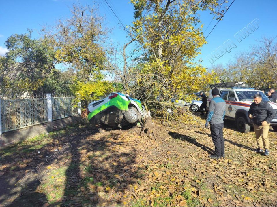 МВД публикует кадры с места ДТП МВД публикует кадры с места ДТП