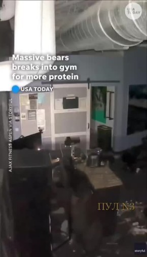      :