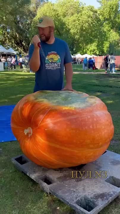 В Канаде прошла гонка на гигантских тыквах: