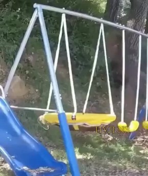       XXL: