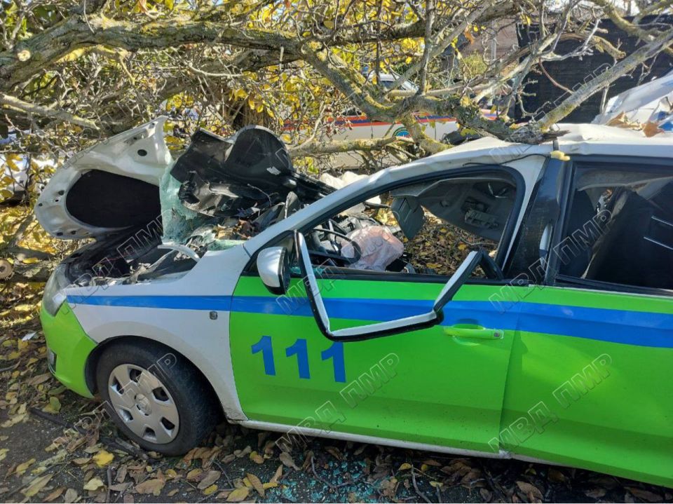 Сегодня утром в селе Карагаш разбилась машина ДПС Сегодня утром в селе Карагаш разбилась машина ДПС