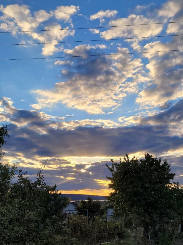 Такие зарисовки дарит нам октябрь в Приднестровье Такие зарисовки дарит нам октябрь в Приднестровье