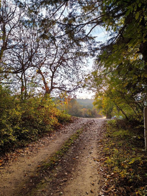 Осенние Ягорлык, Гояны и Подойма – в объективе нашего оператора Виталия Калерина Осенние Ягорлык, Гояны и Подойма – в объективе нашего оператора Виталия Калерина