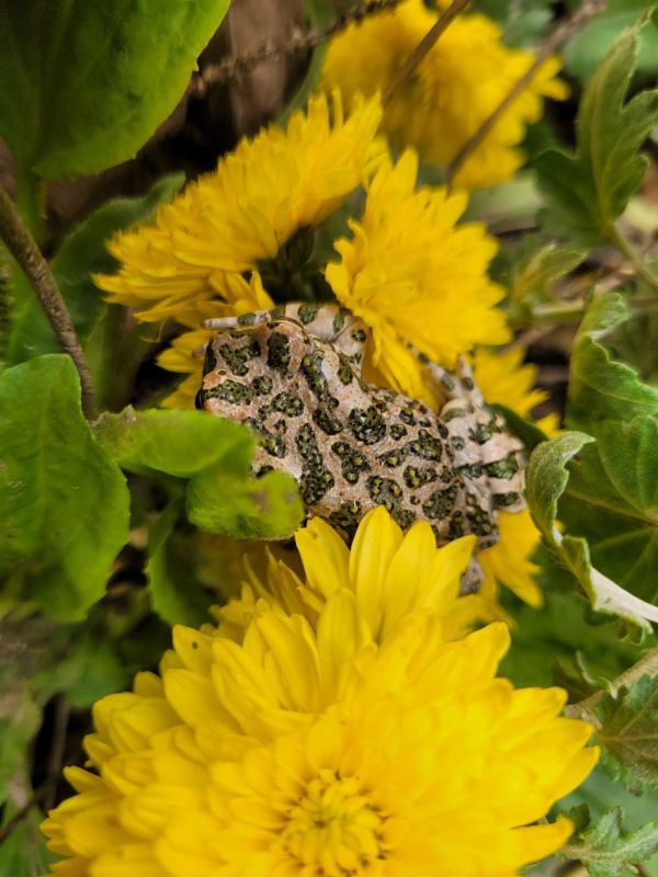 Такие зарисовки дарит нам октябрь в Приднестровье Такие зарисовки дарит нам октябрь в Приднестровье