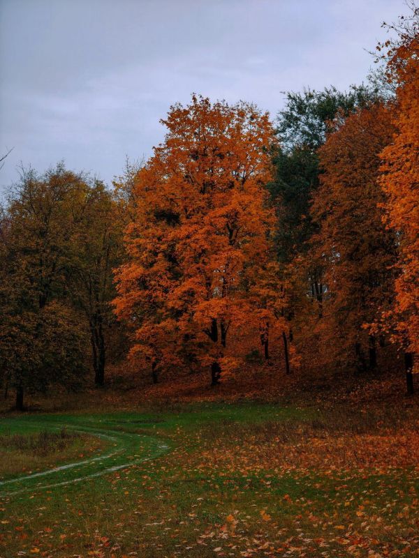 Осенние Ягорлык, Гояны и Подойма – в объективе нашего оператора Виталия Калерина Осенние Ягорлык, Гояны и Подойма – в объективе нашего оператора Виталия Калерина