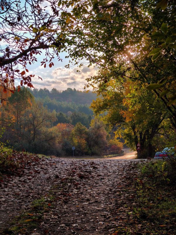 Осенние Ягорлык, Гояны и Подойма – в объективе нашего оператора Виталия Калерина Осенние Ягорлык, Гояны и Подойма – в объективе нашего оператора Виталия Калерина