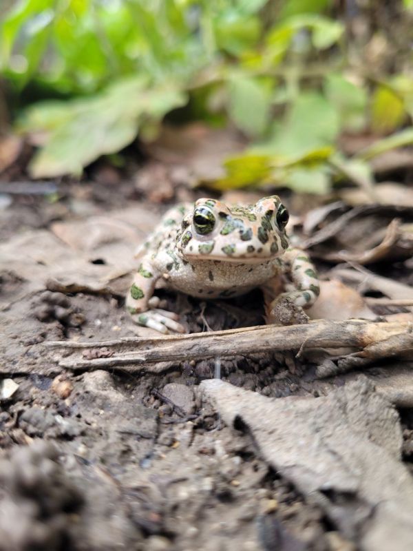Такие зарисовки дарит нам октябрь в Приднестровье Такие зарисовки дарит нам октябрь в Приднестровье