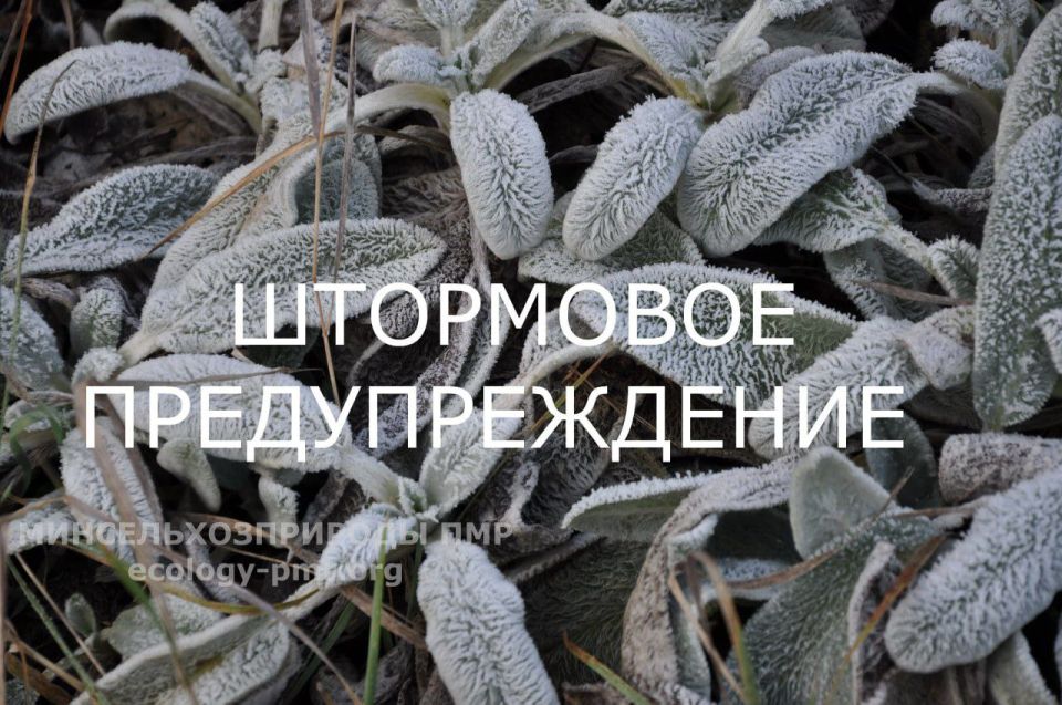 21 октября ночью и утром местами ожидаются заморозки до -2°С