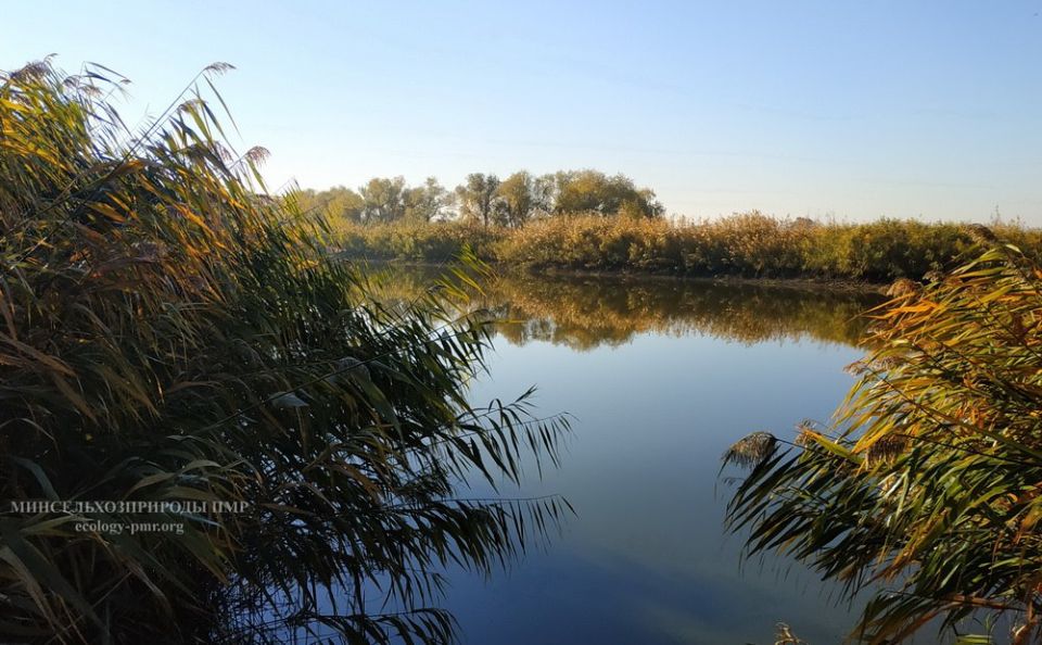 Доброго утра!. Прогноз погоды на сегодня, 20 октября