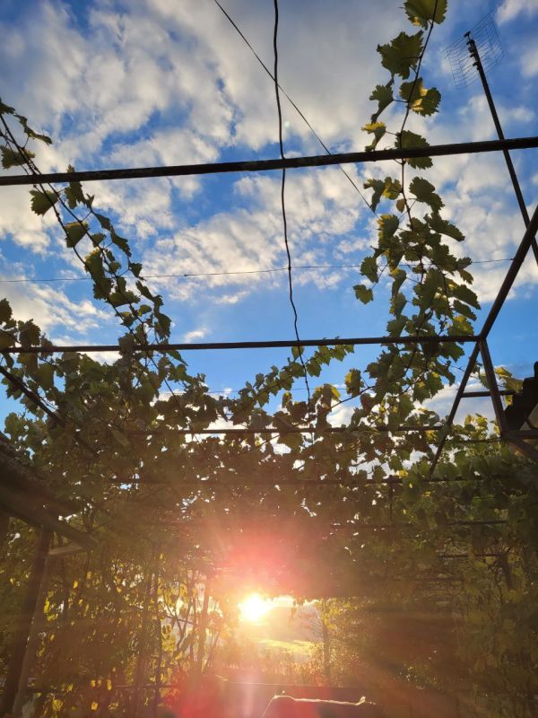 Такие зарисовки дарит нам октябрь в Приднестровье Такие зарисовки дарит нам октябрь в Приднестровье