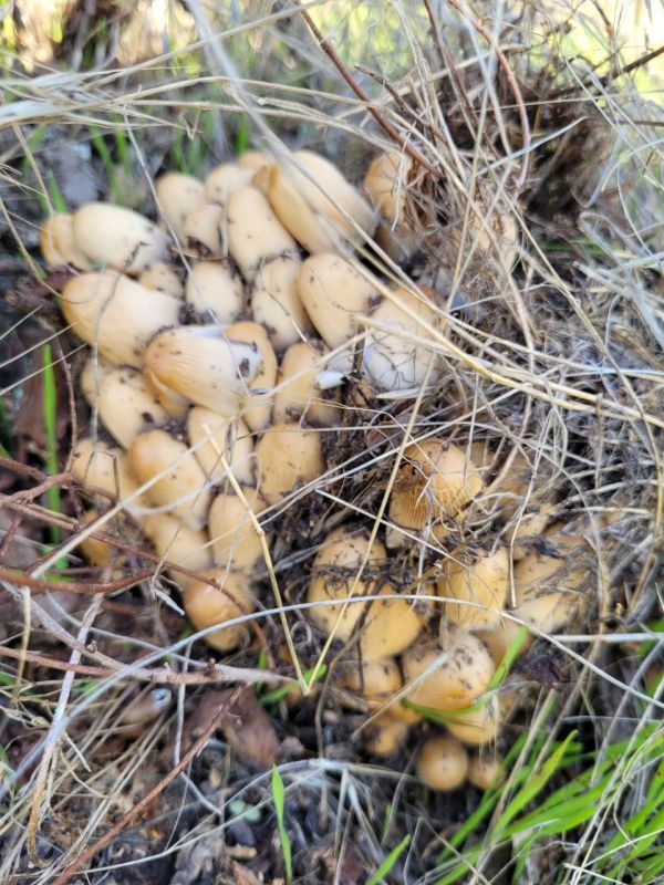 Такие зарисовки дарит нам октябрь в Приднестровье Такие зарисовки дарит нам октябрь в Приднестровье