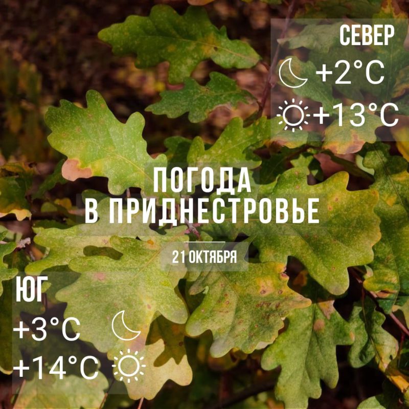 Утром на почве местами заморозки – до -2°С