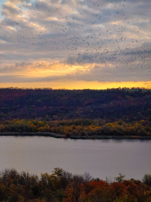 Осень добралась до Ягорлыка Осень добралась до Ягорлыка