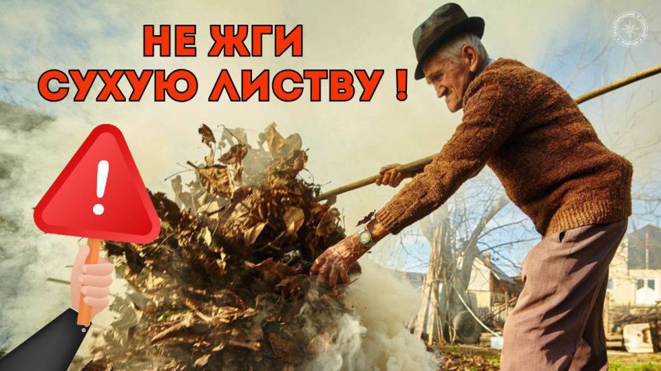 ГУпЧС: не жги сухую листву!