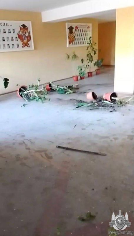 Трое детей разгромили школу в Малаештах Трое детей разгромили школу в Малаештах