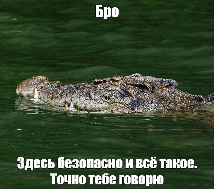 Реку с крокодилами одобрили для соревнований по гребле на Олимпиаде-2032 в Австралии