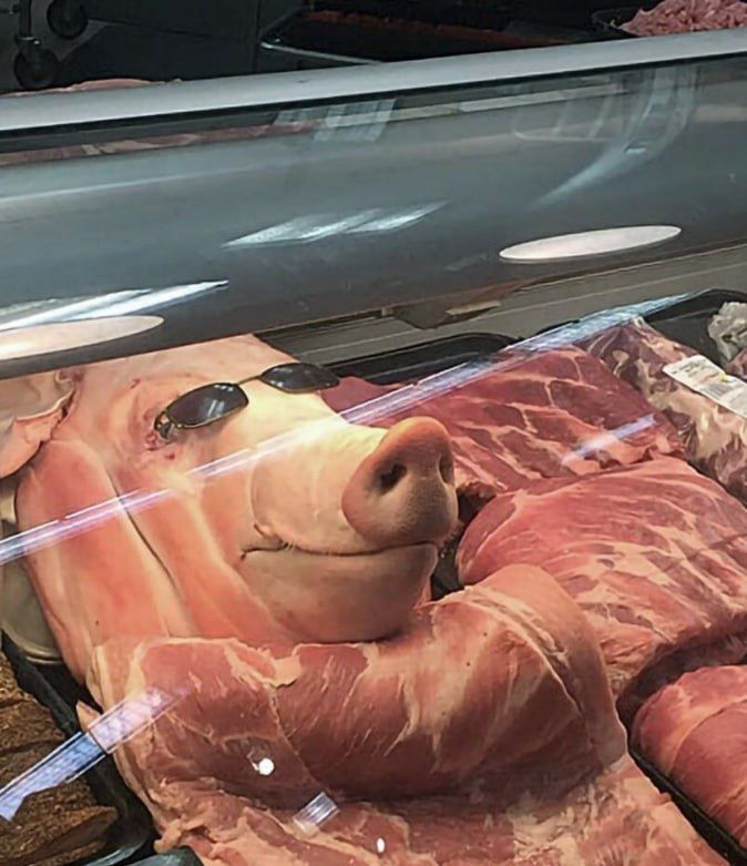 В Москве обнаружен украинский шпион